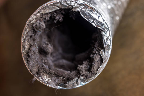 Best Emergency Air Duct Cleaning  in Louisville, MS